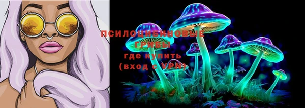 крисы Алзамай