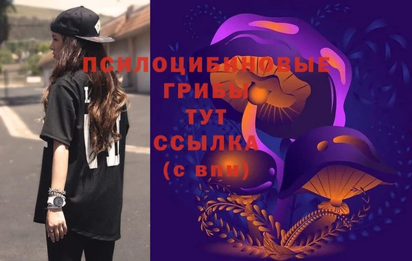 МДМА Пролетарск
