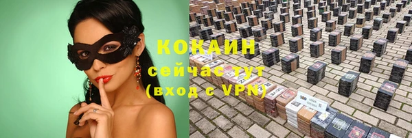 тгк Абаза