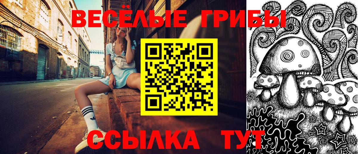цена   Вход с VPN  Гусь-Хрустальный  Галлюциногенные грибы GOLDEN TEACHER 