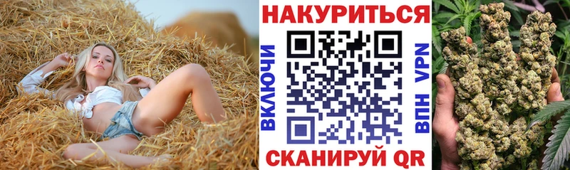 где можно купить   mega ССЫЛКА  Бошки Шишки конопля  Гусь-Хрустальный 